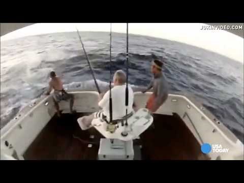 Marlin jumps into boat--man jumps out