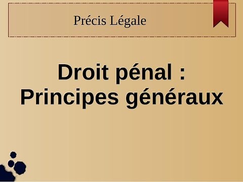 Droit penal: principes généraux