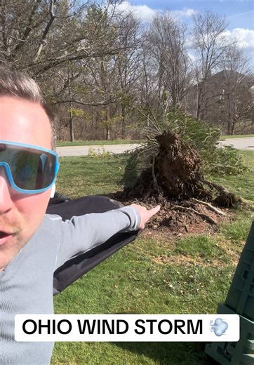 Severe Wind Storm Causes Major Tree Damage in Ohio