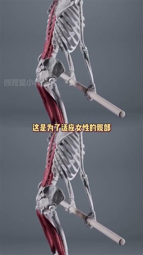 Title: The Perfect Push-Up for Women: Discover the Secret Move