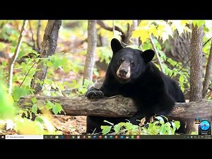 How To Find The Control Panel In Windows 10