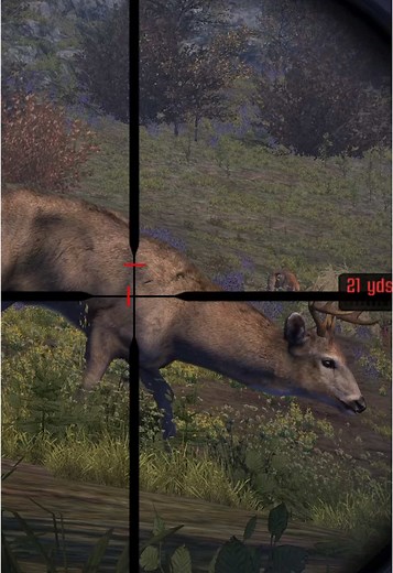Explore Exciting Hunting Games This Season