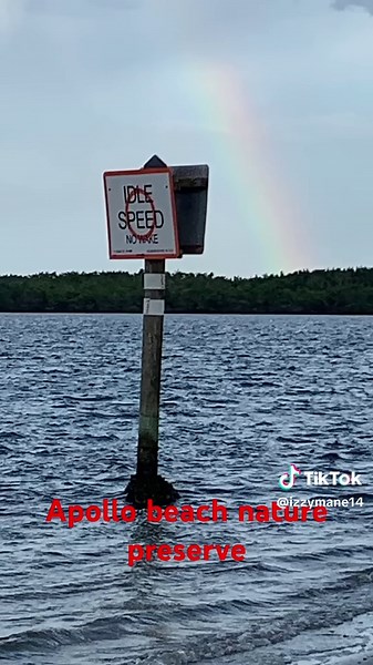 Exploring Apollo Beach Nature Preserve