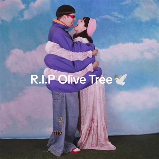R.I.P Olive Tree 🕊️#fyppppppppppppppppppppppp #makeitviral #fyp | olive tree
