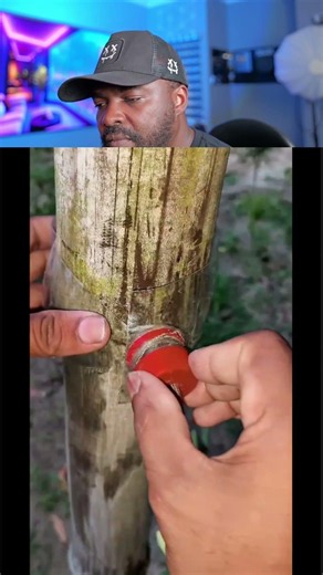 DIY Bamboo Clothesline in 60 Seconds #diy #clothesline #hack