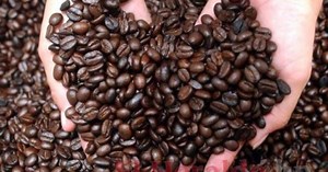 Los 10 principales países productores de café, ¿en qué lugar está Honduras?