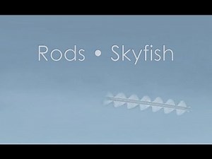 Skyfish • Rods • Mysterious Unidentified Flying Objects • Insects