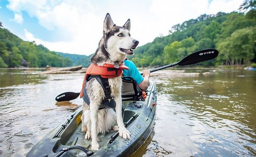 8 Best Kayaks for Dogs – Top Rated Dog-Friendly Kayaks (Spring 2026)