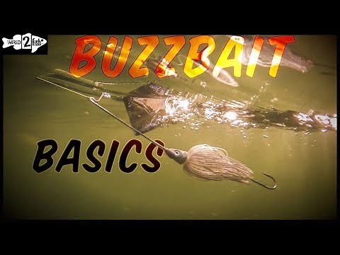 Buzzbait Fishing 101 With Denny Brauer