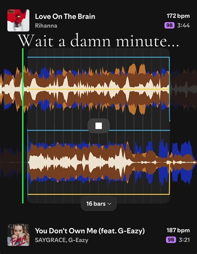 Rihanna Love On The Brain x You Don’t Own Me cover — wait a damn minute