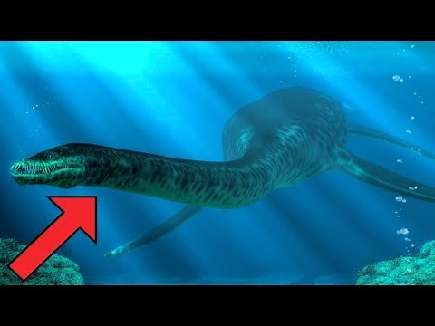 WILDEST African Cryptids