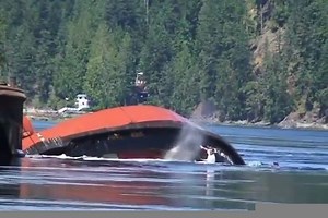 Accident At Sea| Tug Boat Capsized | Container Terminal