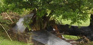 Expert warns of more extreme weather events in 2024