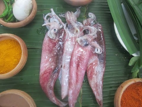 How to cook Cuttlefish milk curry Village mother Cooking