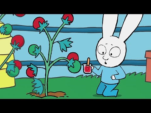 Simon *What Makes Tomatoes Turn Red?* The Story of the Little Elf *Earth Day* Cartoons for Children