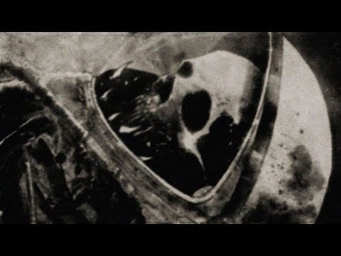 Die 6 Unglaublichsten Geräusche!