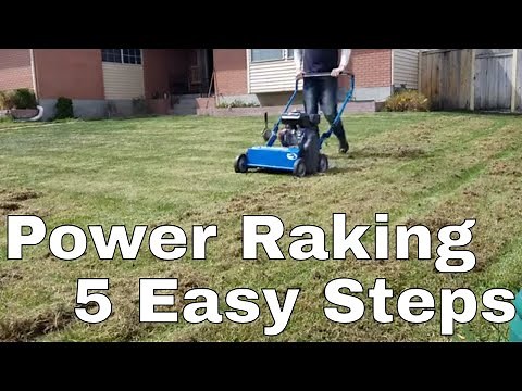 5 Steps DIY How to Power rake or De Thatch your lawn
