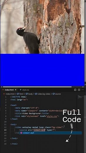 How to Add Background Video in HTML & CSS | #shorts #shortsvideo #viral