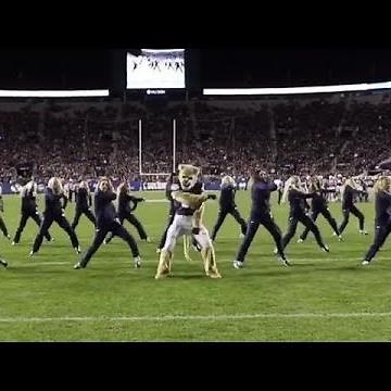 Mascot steals the show