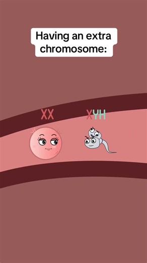 Having an extra chromosome: #funny #foryou #animation #fyp #American | xy chromosome