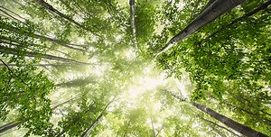 Introduction to operations management