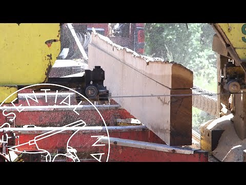 Sawing Logs into Lumber