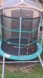 Guess it's his trampoline now 🤷🤣 | Furry Tails