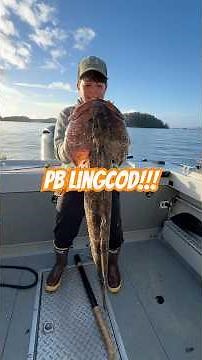 PB LINGCOD!!!