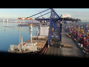 How a Huge Ship is Unloaded: A Full Port Scene Overview
