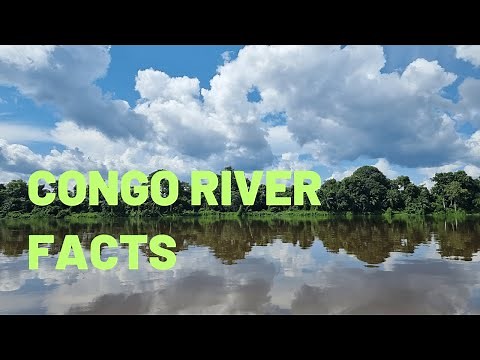 Adventures Along the Congo River: A Journey into the Heart of Africa | Lesson For Kids