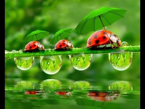 SystemVerilog Functional Coverage :: Transition Coverage