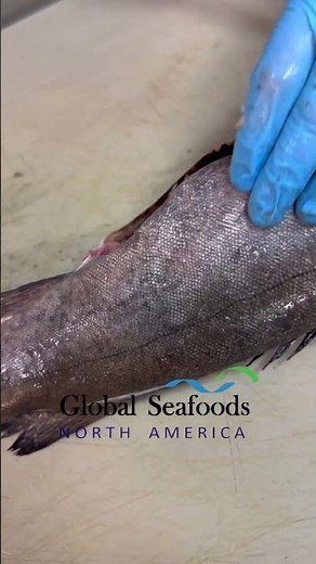 Filleting Sablefish 🐟 | Easy Guide with Expert Knife Skills