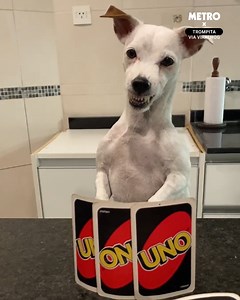 Game night's going well... | Metro