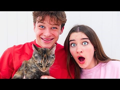 WE FOSTERED A CAT