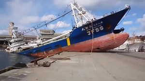 Ships Beaching Videos! | Life At Sea