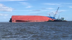 'What's the impact on the environment?': Concerns grow over Golden Ray removal plans