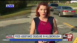 APOLLO BEACH is home and your news is important to us! Turn on your TV to ABC Action News now to get real, local news and weather for APOLLO BEACH. | Tampa Bay 28 - WFTS