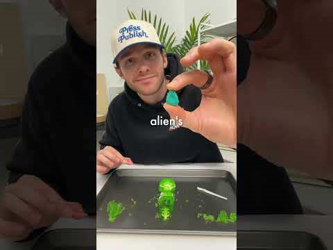 I tried dissecting an alien