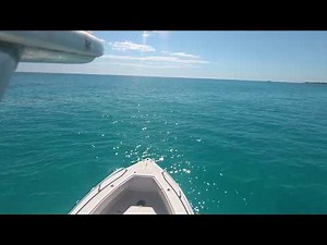 How to Install a Seachoice Platform Ladder on a Boat Transom