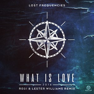 Lost Frequencies - What Is Love (Regi & Lester Williams Remix)