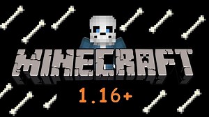 Sans in Minecraft 1.16 Minecraft Data Pack