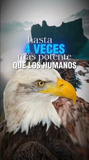 Could you survive with the eyesight of an eagle? #funfacts #animals