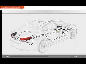 Body Control Module (BCM)