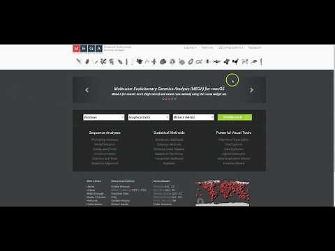 Phylogenetic Analysis with MEGA X