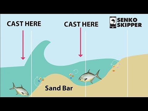 Surf Fishing 101: HOW TO CATCH FISH