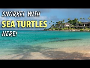 2 STUNNING Maui Beaches You Can’t Miss: Kapalua & Napili Bay