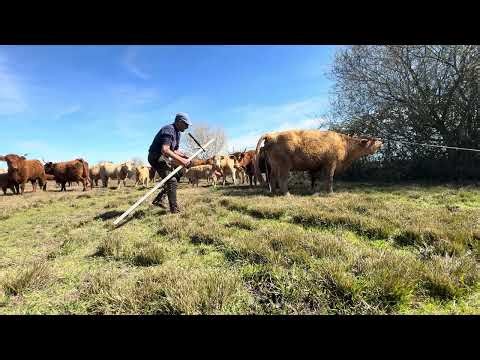 Third delivery of the day, this one live, when you pay attention to things, things turn out well