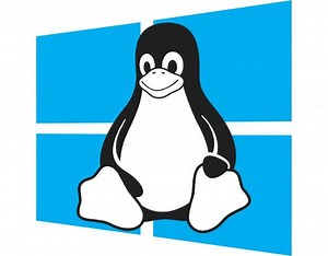 5 fundamental differences between Windows 10 and Linux - TechRepublic