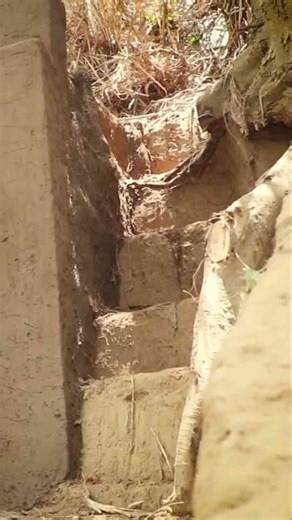 From Beginner to Expert: How to Level Up Fast