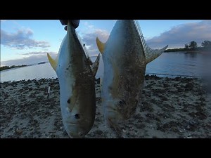 APOLLO BEACH power plant Fishing EXPLODES behind first major cold front!